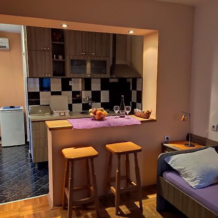 Apartman Ristic Niska Banja Εξωτερικό φωτογραφία