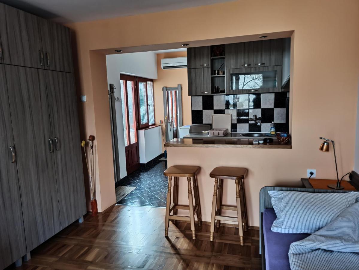 Apartman Ristic Niska Banja Εξωτερικό φωτογραφία