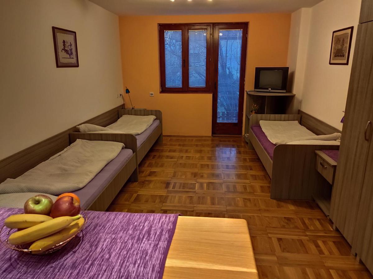 Apartman Ristic Niska Banja Εξωτερικό φωτογραφία